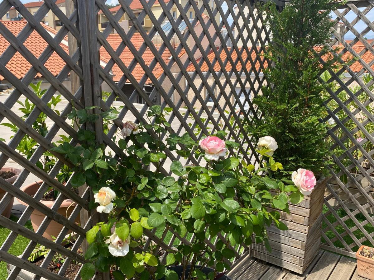 Le Patio Pere Pigne Guestroom 페르피냥 외부 사진
